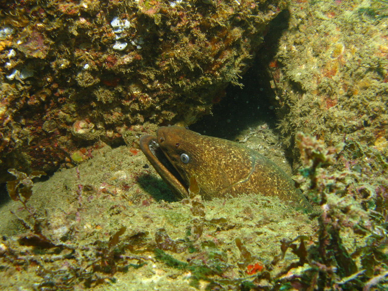 cabo-underwater-19a