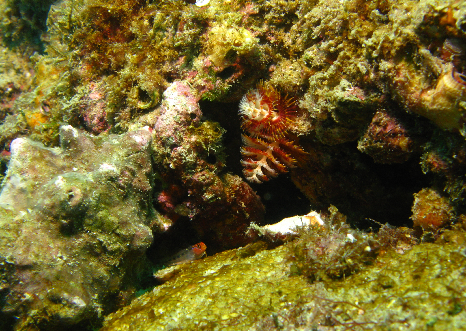 cabo-underwater-21