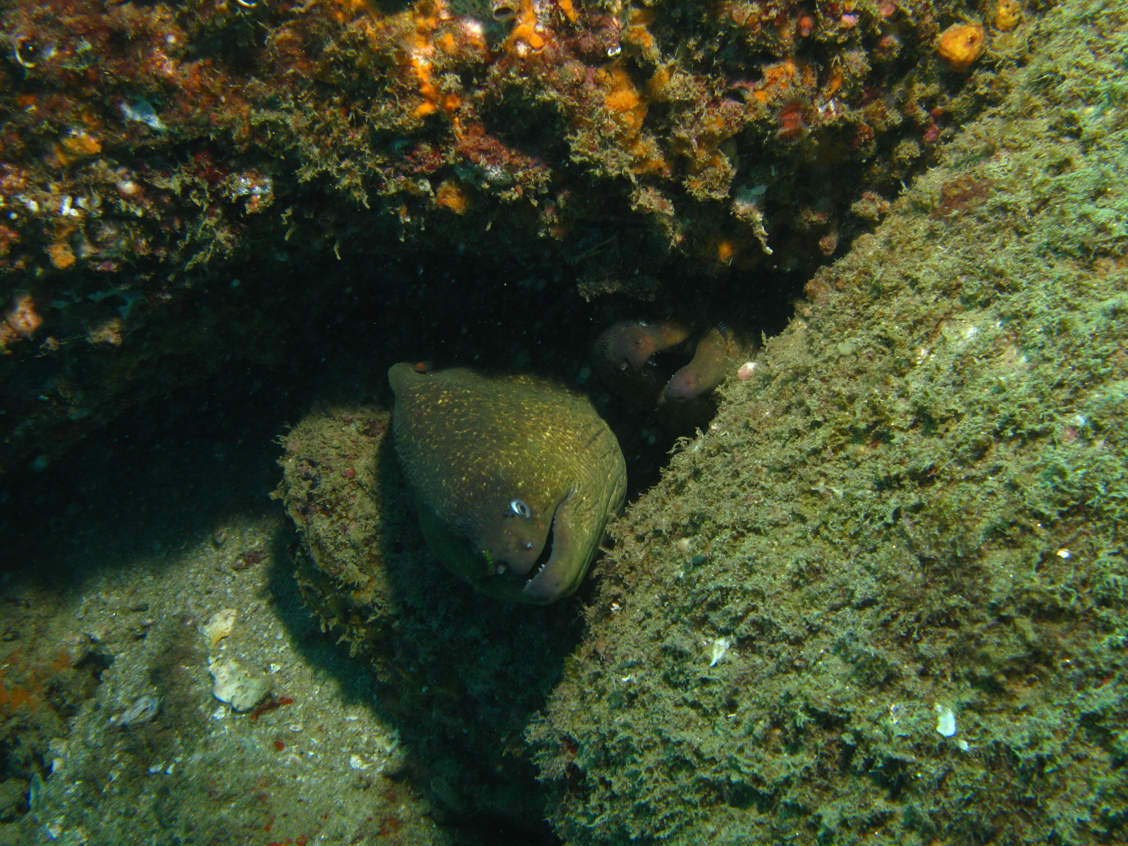 cabo-underwater-30