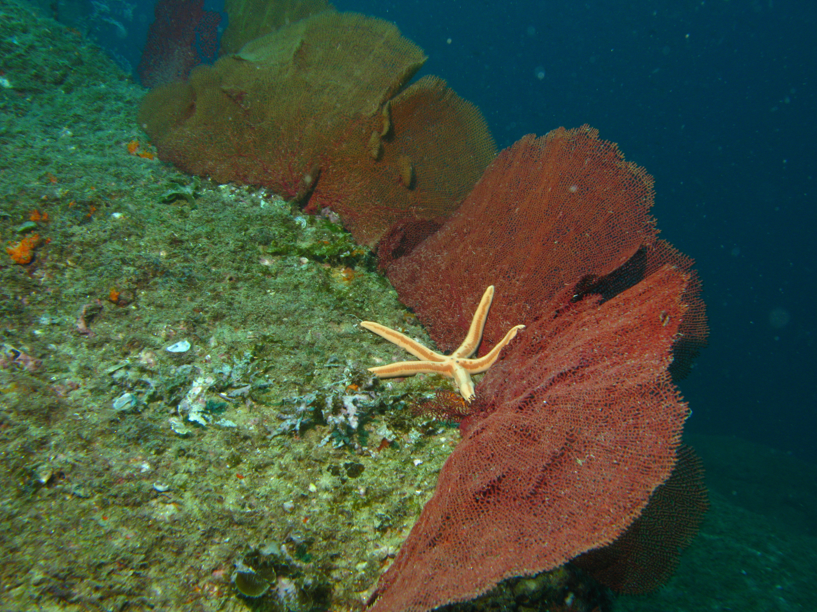 cabo-underwater-331