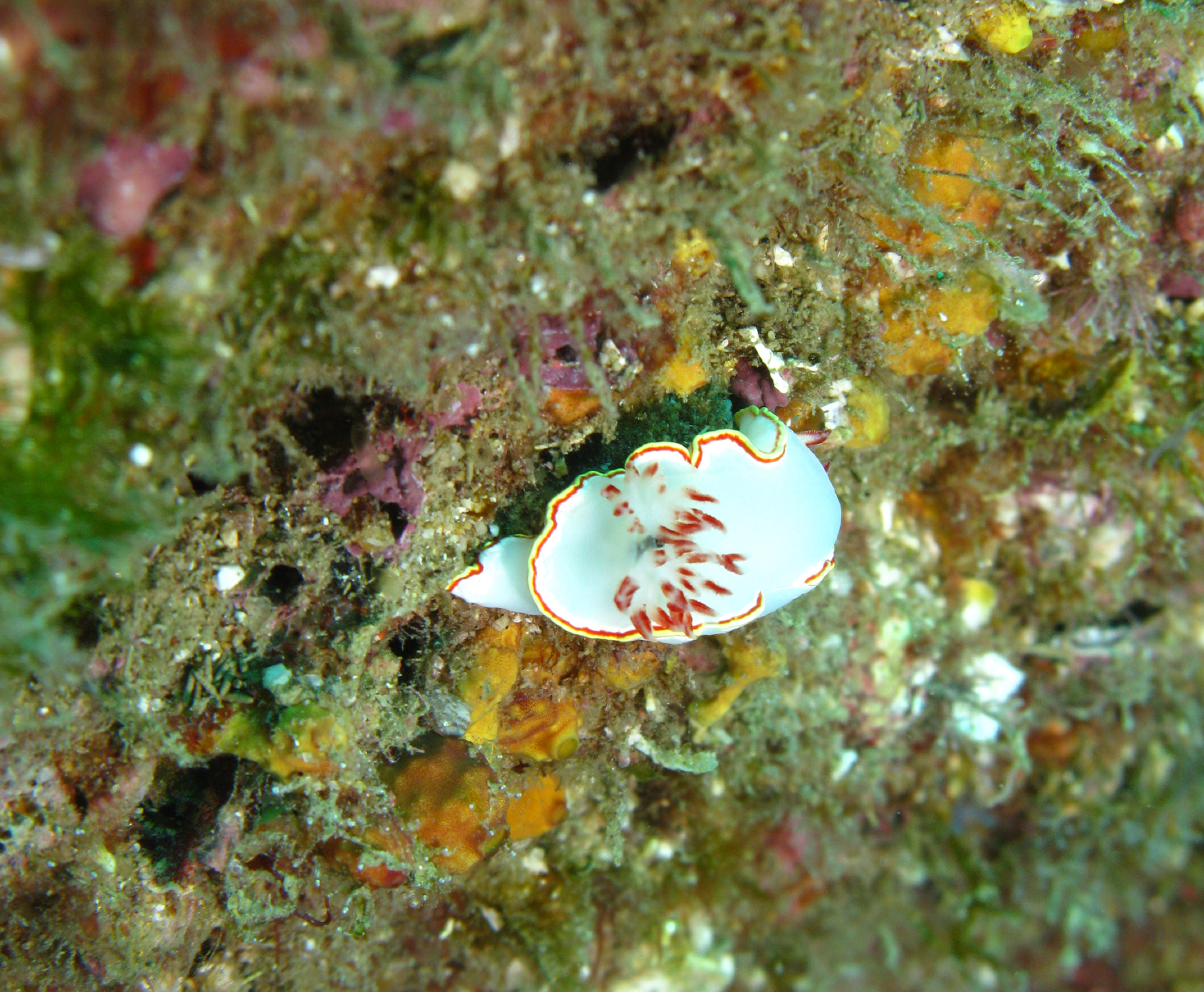 cabo-underwater-341