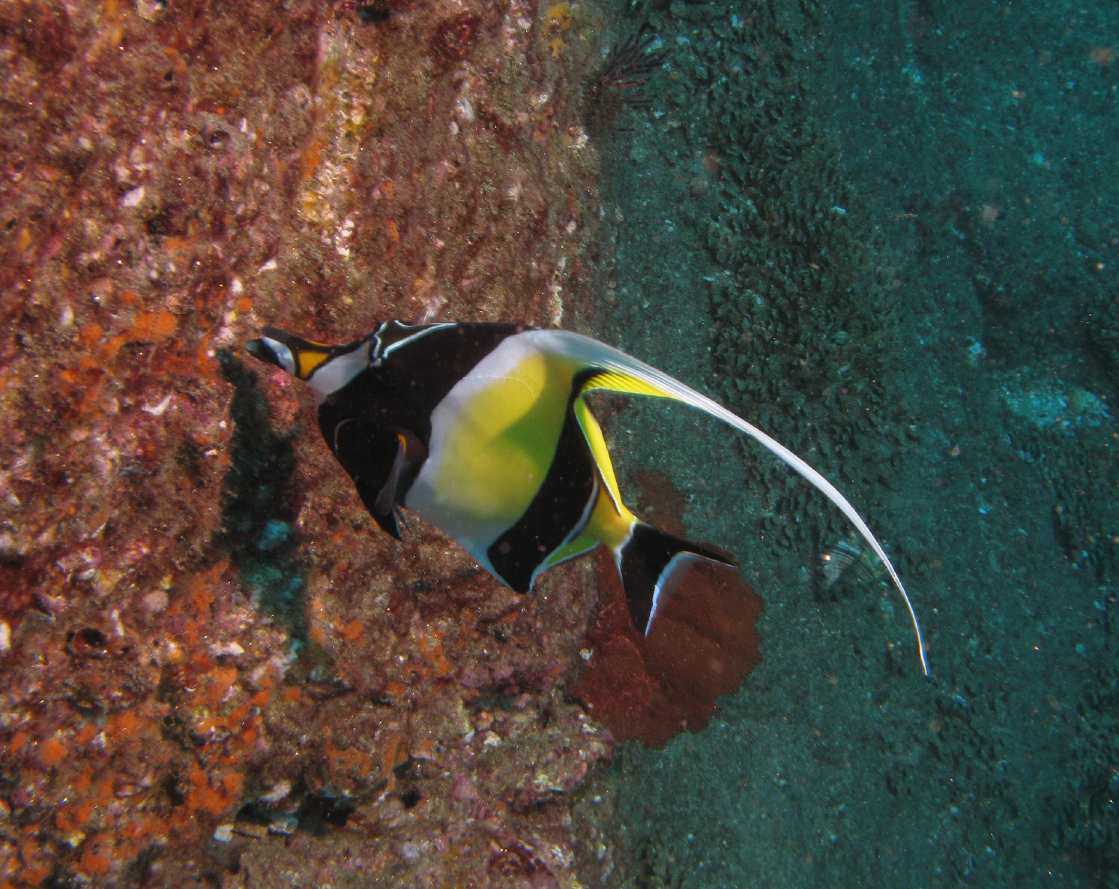 cabo-underwater-6