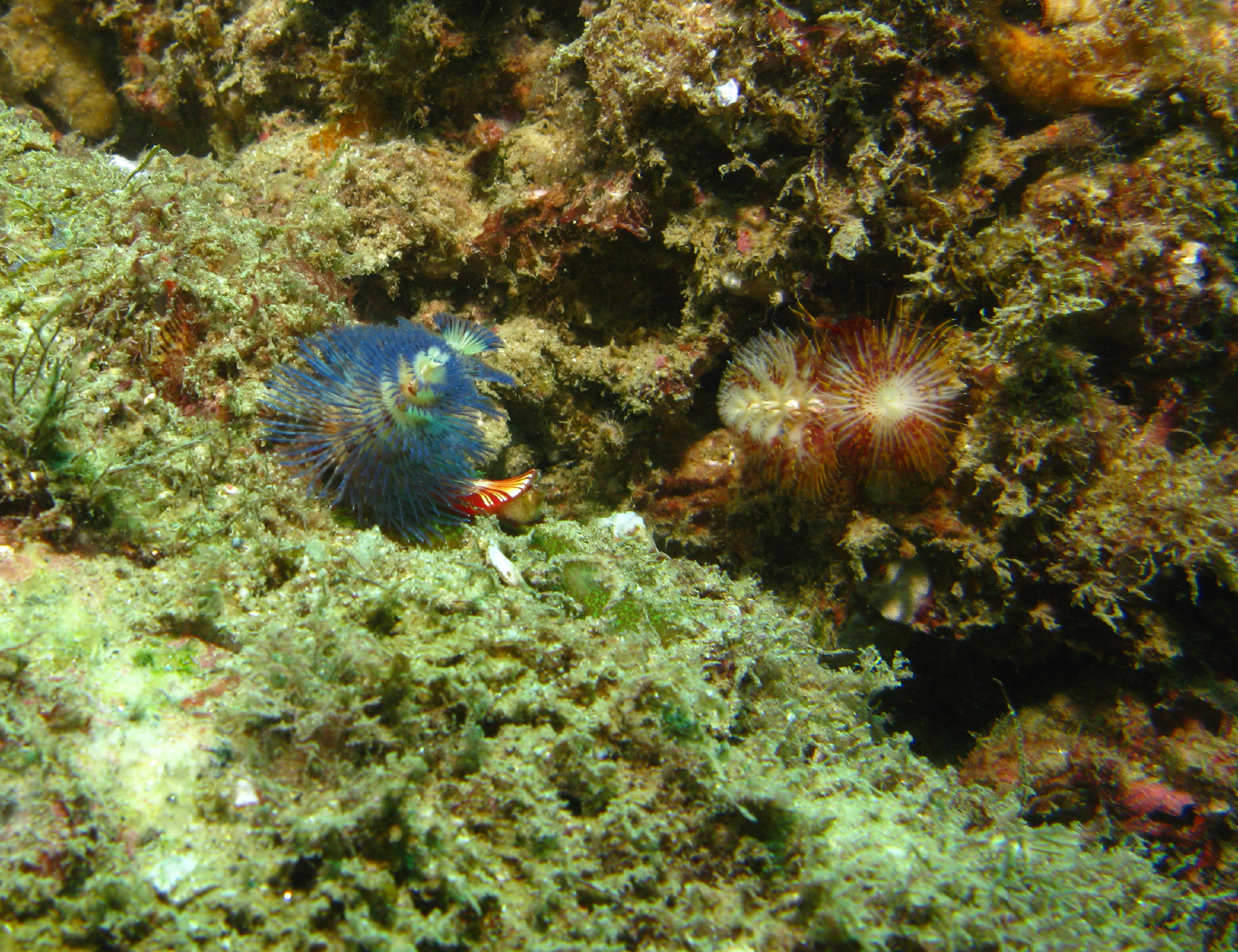 cabo-underwater-9