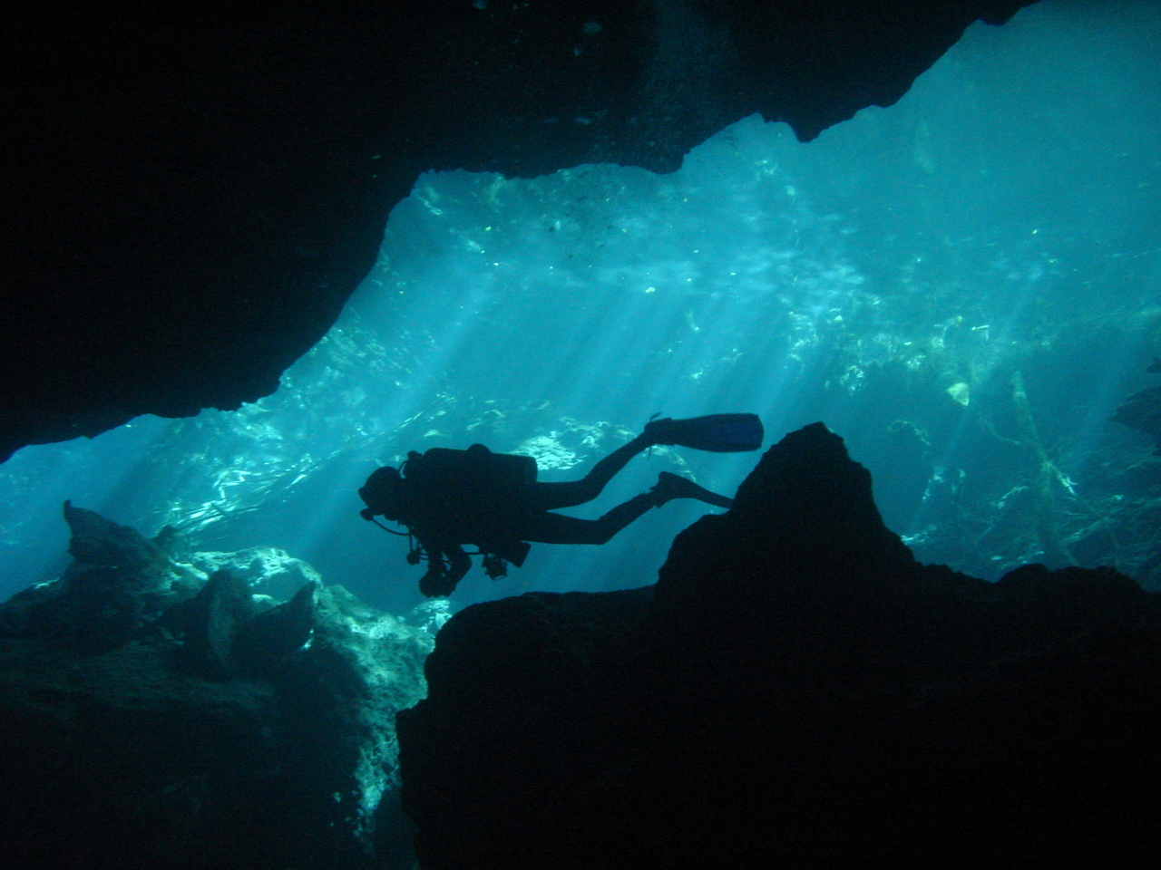 Cancun cavern TajMahal