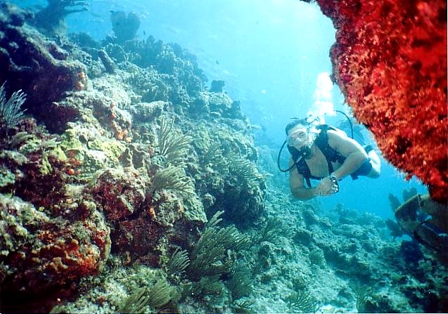 Cancun Coral