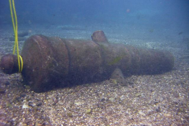 Cannon in the Training Area