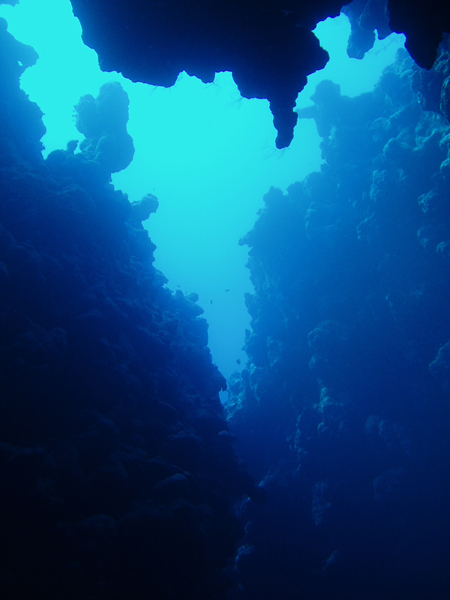 canyon dahab, read sea