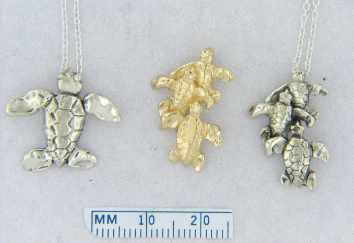 Capture_103-Turtles-A_Small_