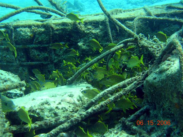 caribe blu shore dive