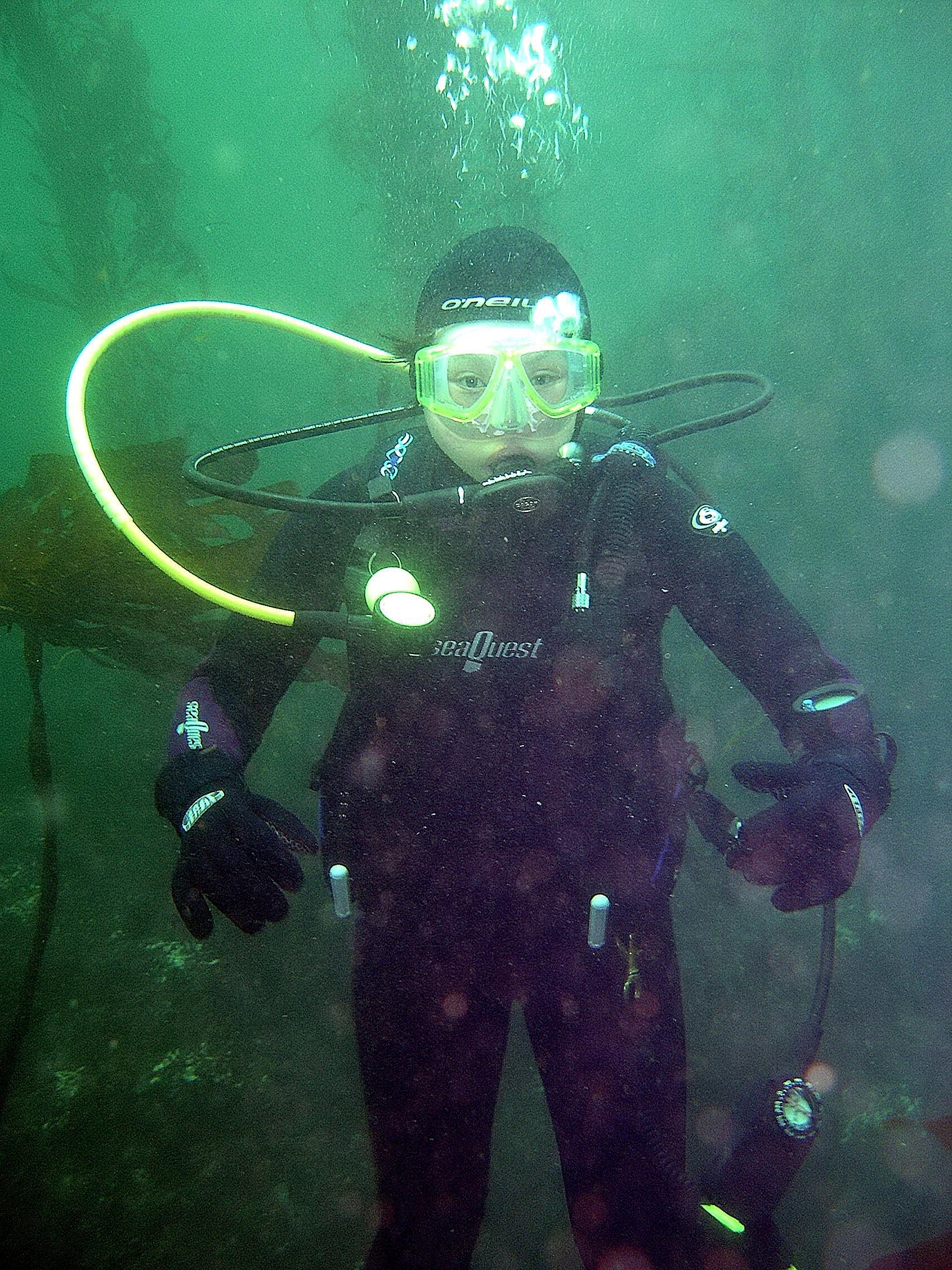carmel diving