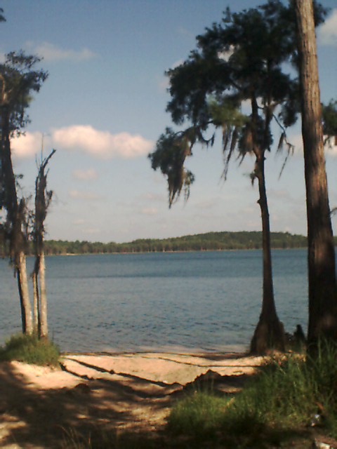 Cassidy Lake