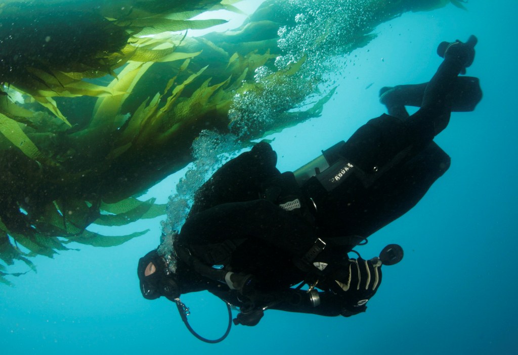 Catalina Dive Park