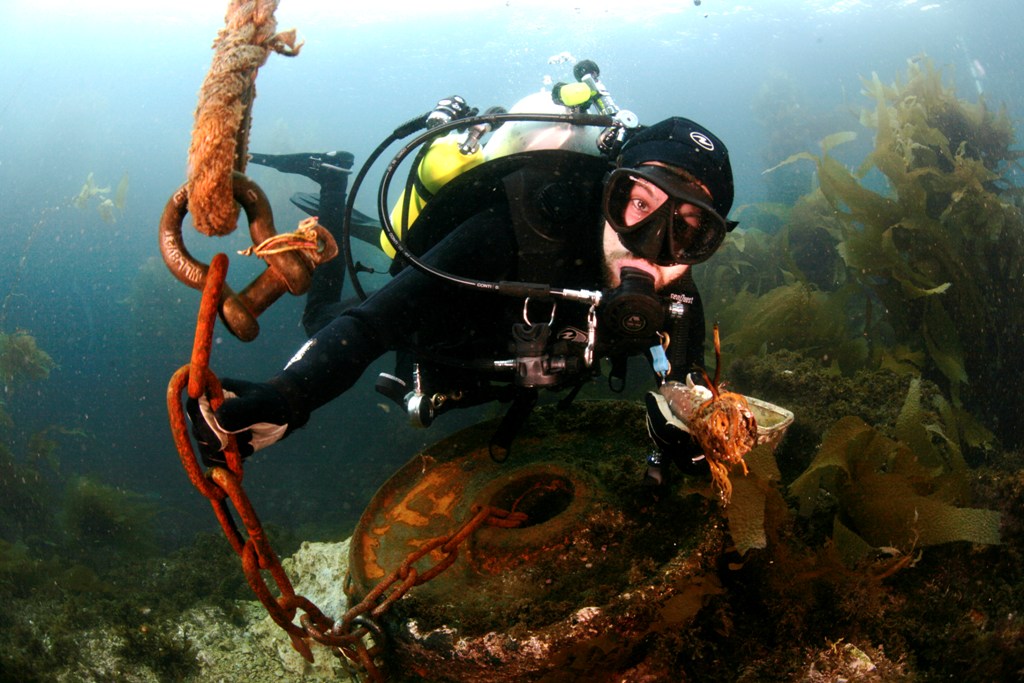 Catalina Dive Park