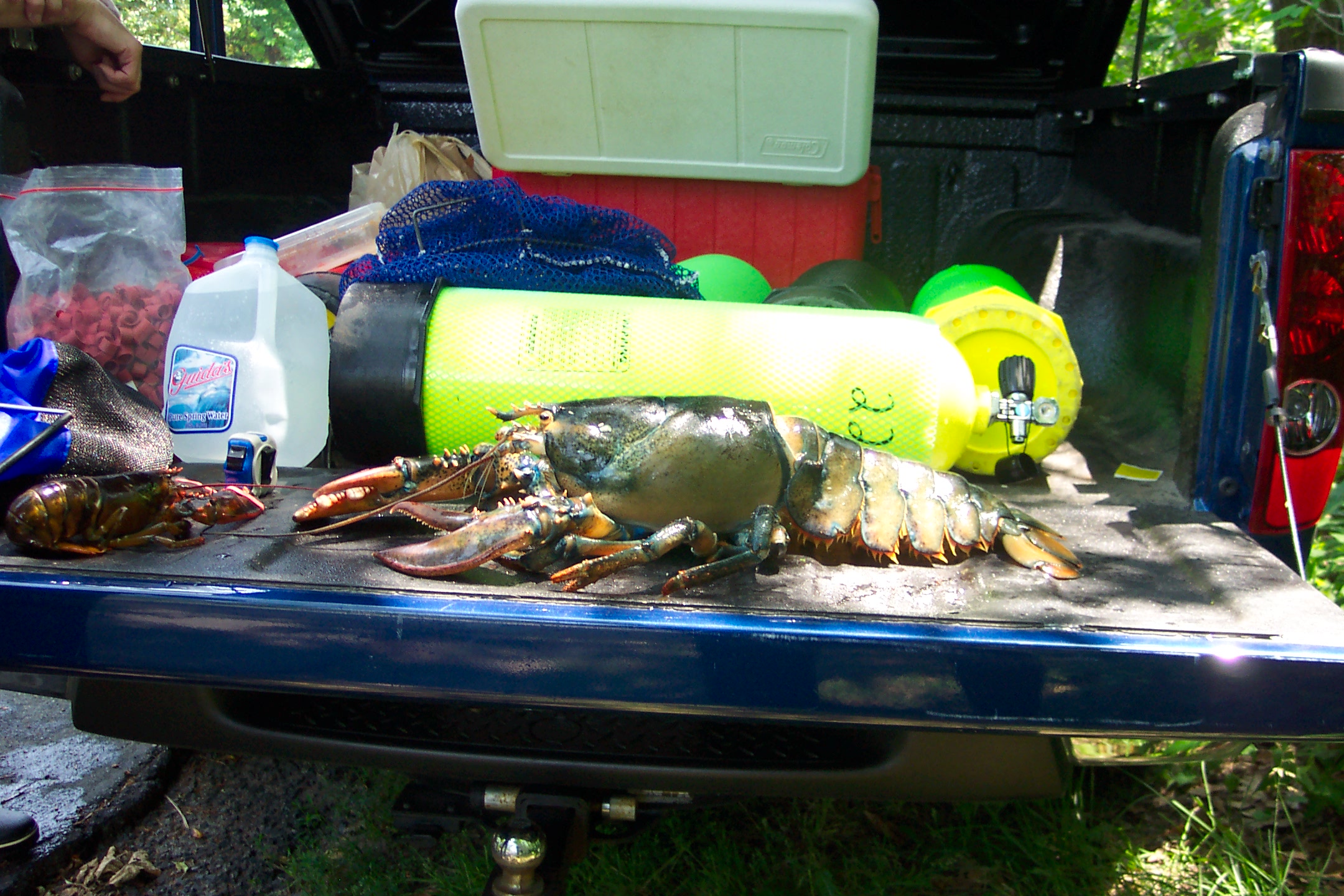 Caught at Loop Hole, Gloucester Ma