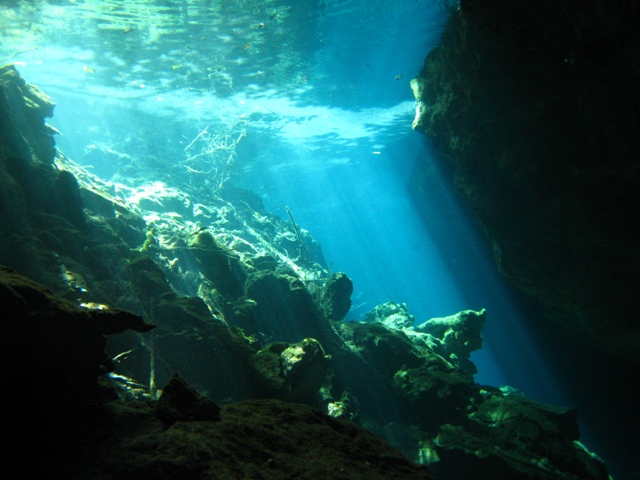 Cave Dives in Mexico (near Cancun) -- Feb 2008