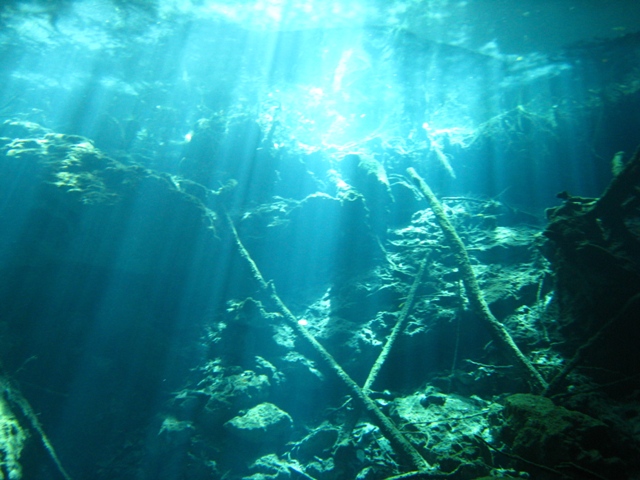 Cave Dives in Mexico (near Cancun) -- Feb 2008