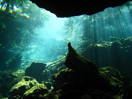 Cave Dives in Mexico (near Cancun) -- Feb 2008