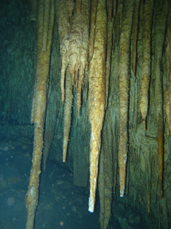 Cave Dives in Mexico (near Cancun) -- Feb 2008