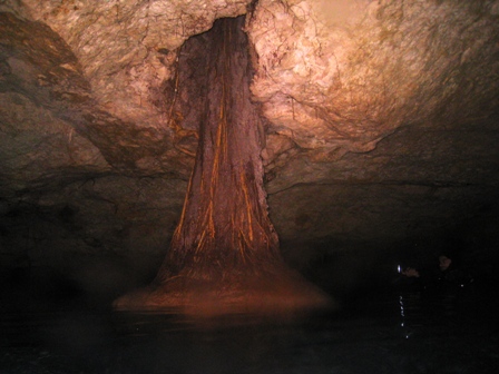 Cave Dives in Mexico (near Cancun) -- Feb 2008