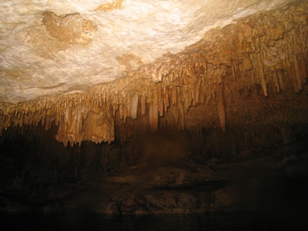 Cave Dives in Mexico (near Cancun) -- Feb 2008