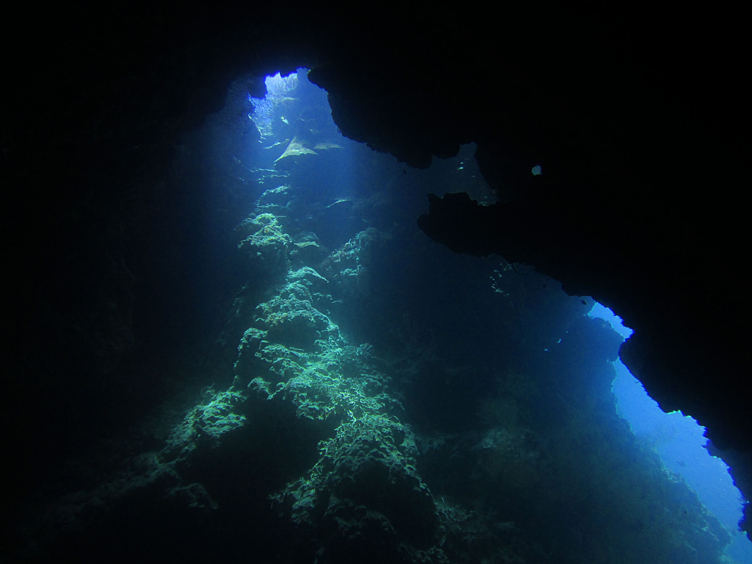 Cavepoint / Menjangan Island / Bali