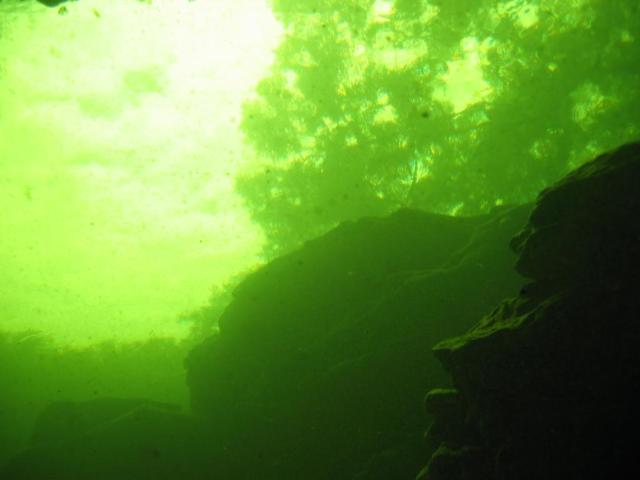 cavern diving Florida