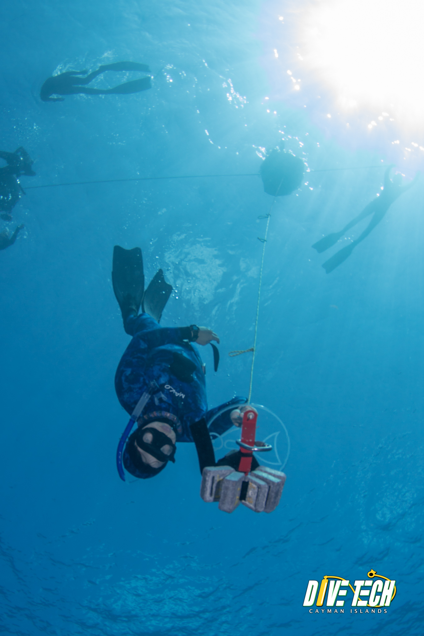Cayman Freediving