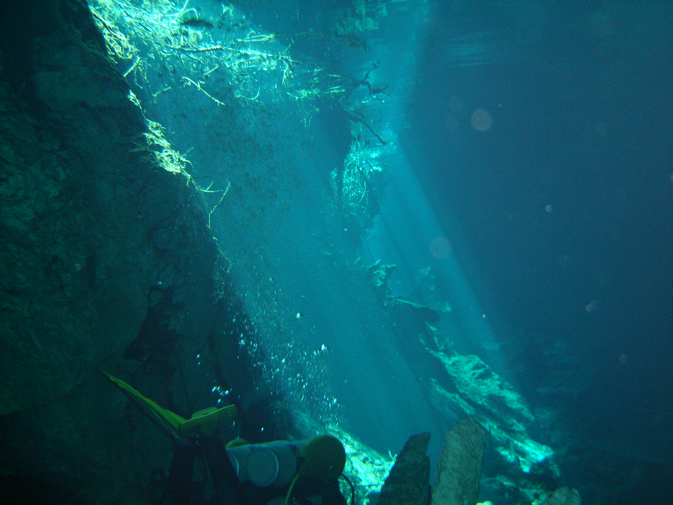 Cenote' Diving