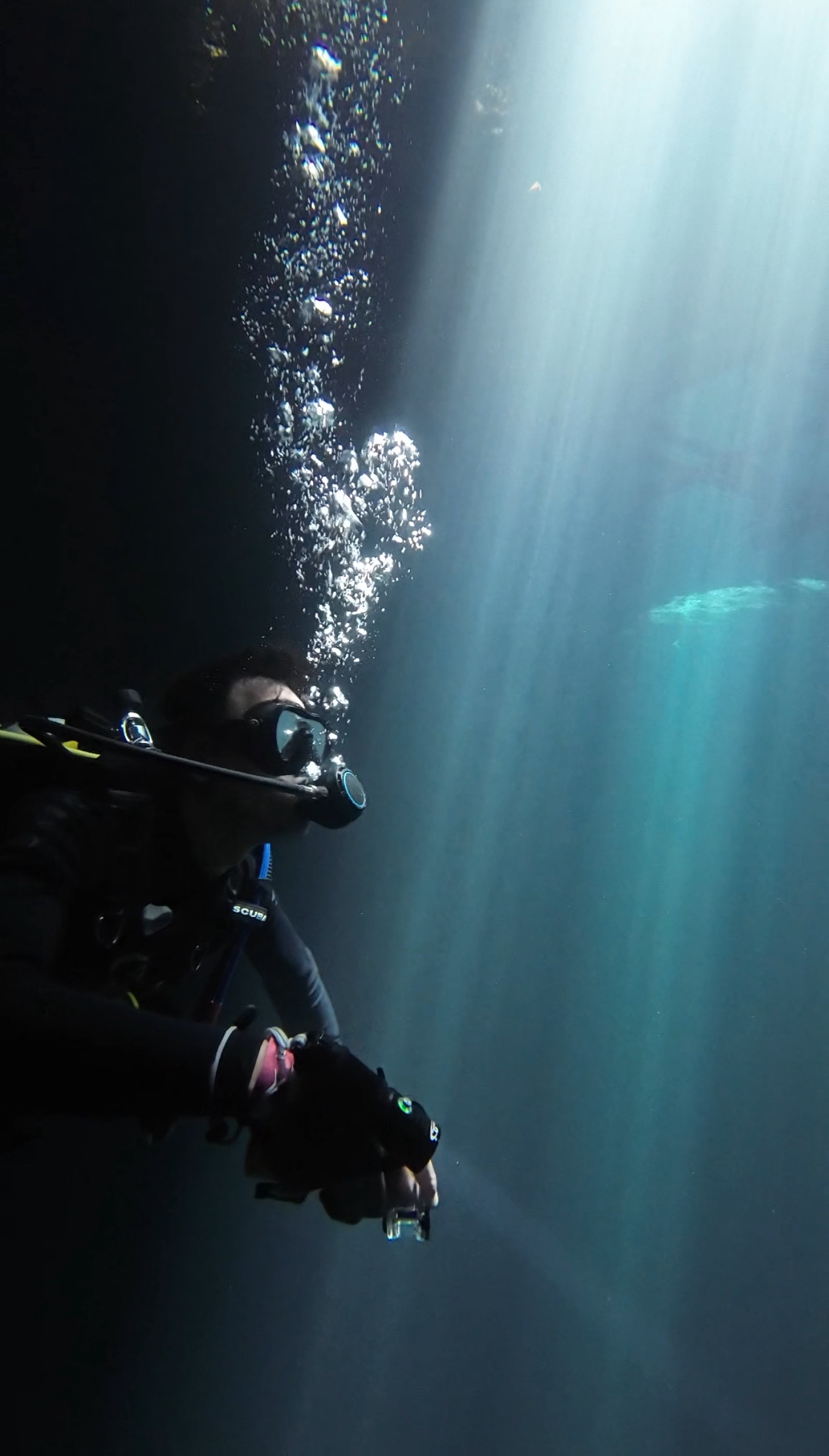 Cenote Kin-Ha with Rigo The Cenote Guide