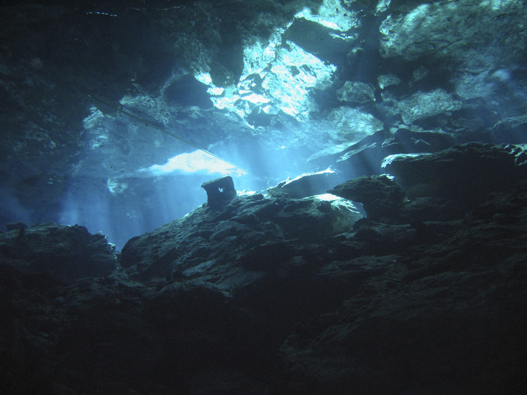 Cenote .. Light filtering through