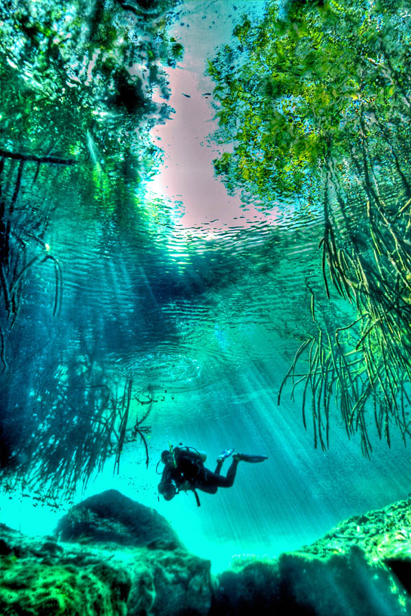 Cenote Manati, Mexico - HDR