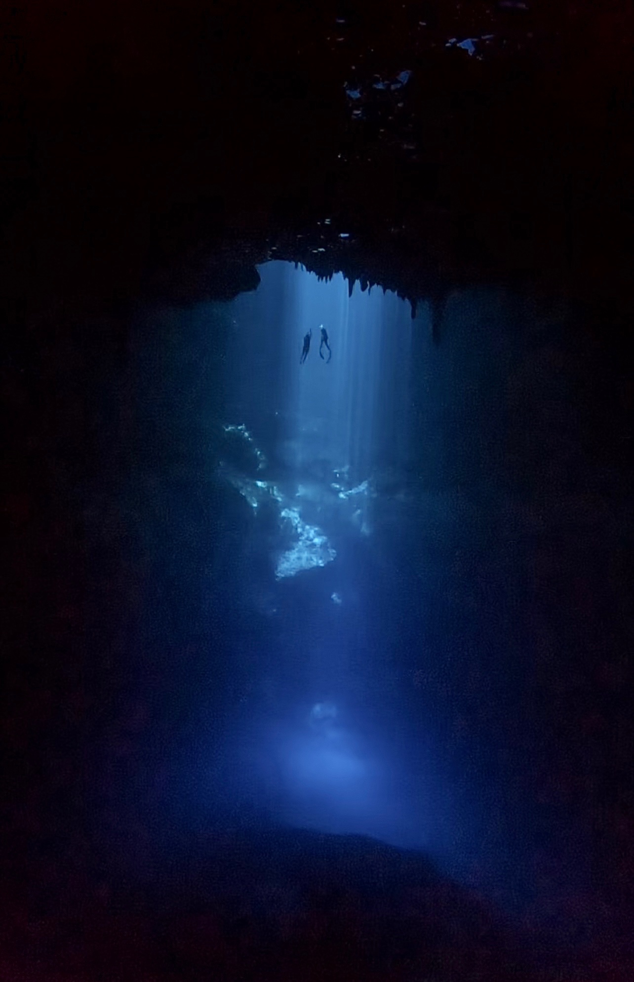 Cenote The Pit | Rigo The Cenote Guide