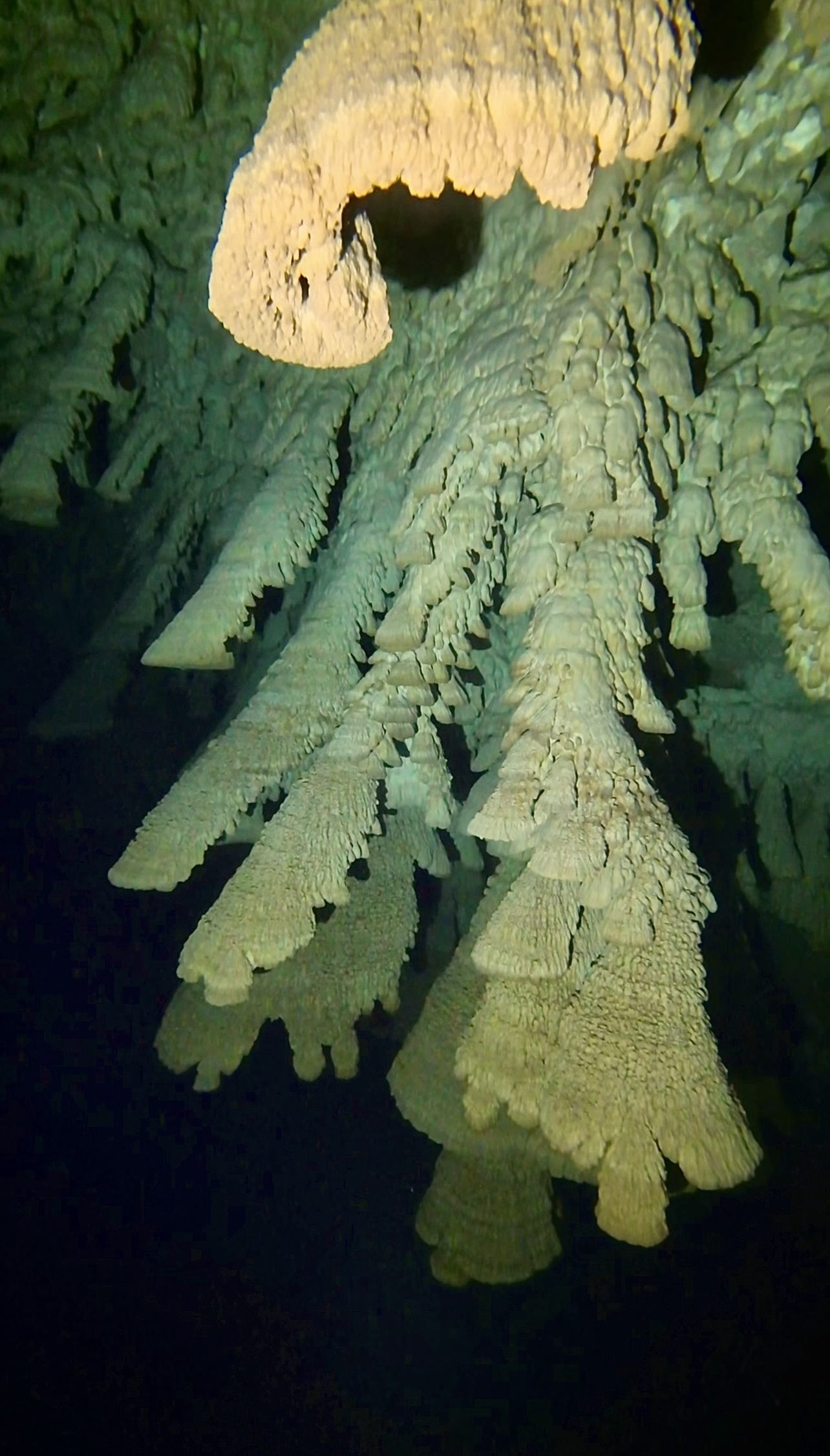 Cenote Zapote - Hells Bells