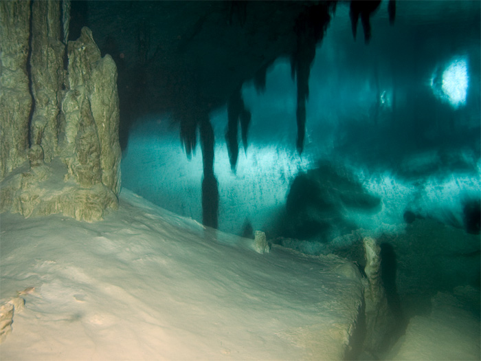 Cenotes Dos Ojos batcave