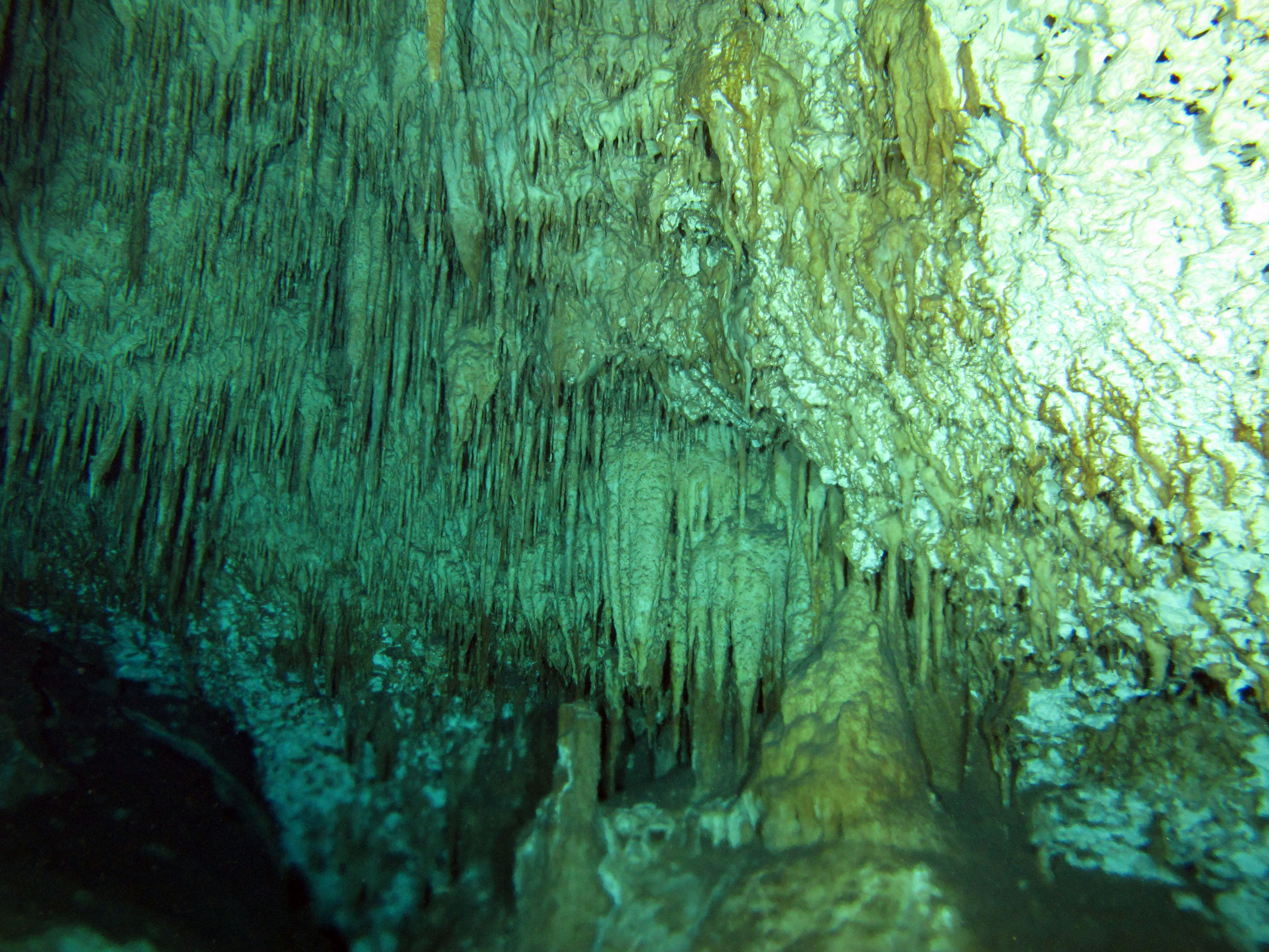 cenotes