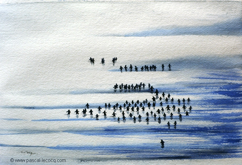 CENT MANCHOTS - 100 penguins - by Pascal