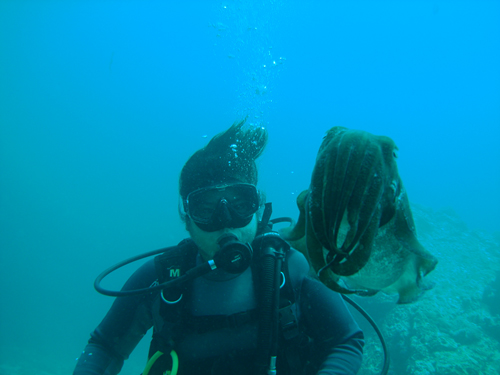 Cephlopod_Observing