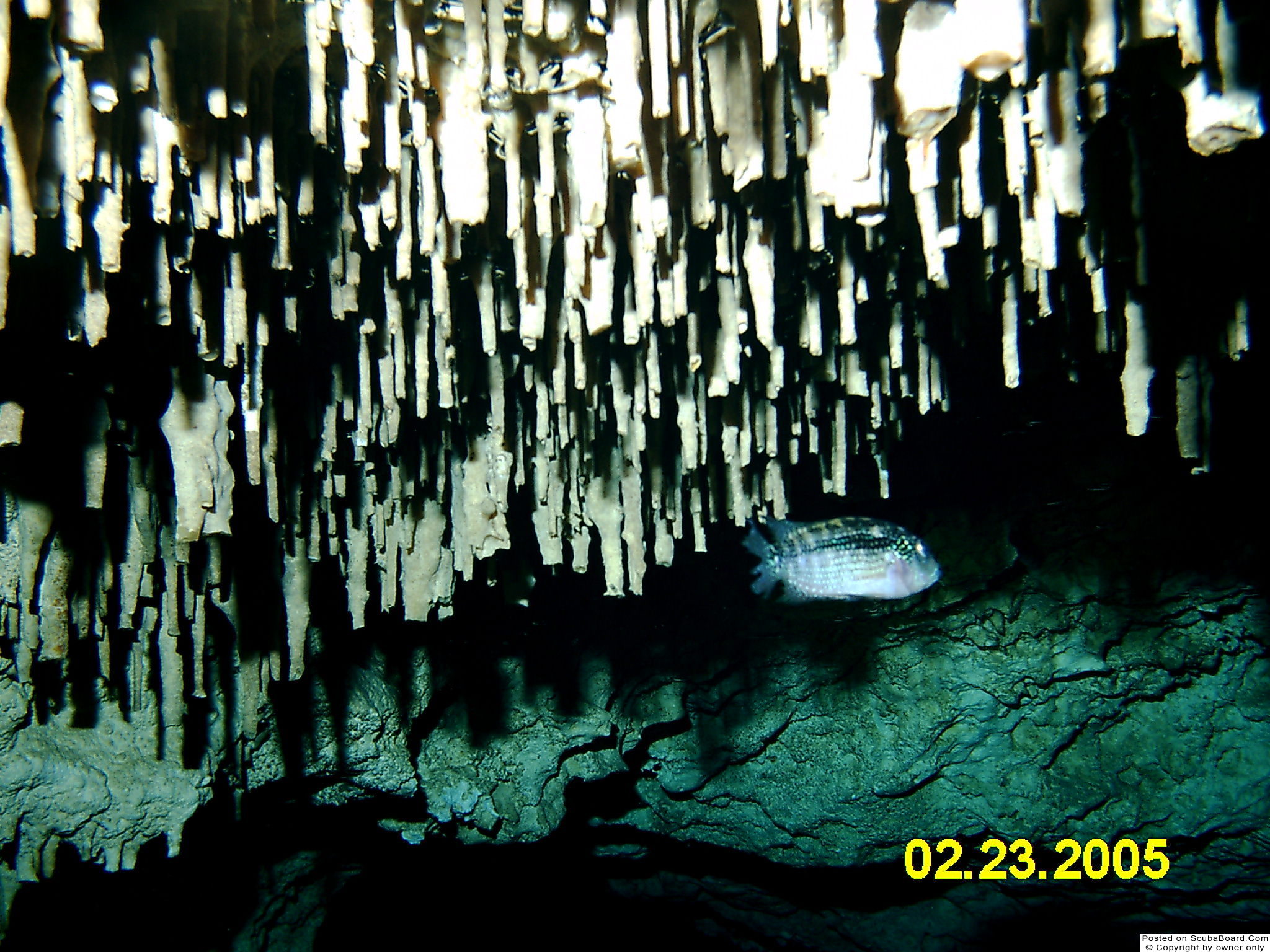 Chacmol Cenote