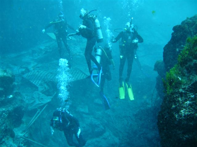 Check out Dive Weeki Wachee