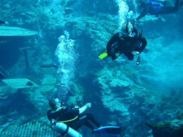 Check out dive Weeki Wachee