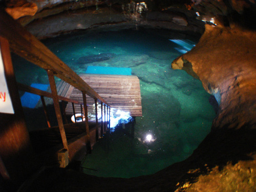 Check out dives in Devils Den and Blue Grotto