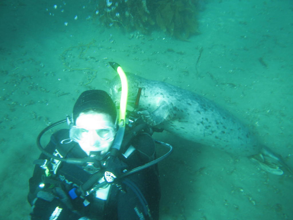 Checking the Tank Valve, Pelican Closure, Anacapa