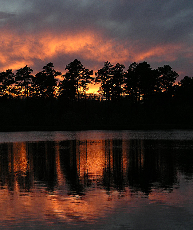 Chicasaw sunset - Henderson TN