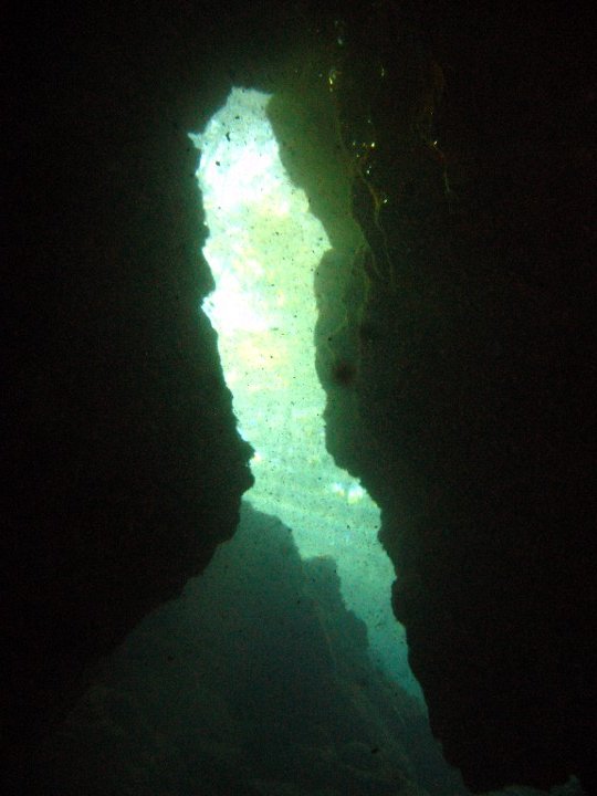 Chipola River Cave