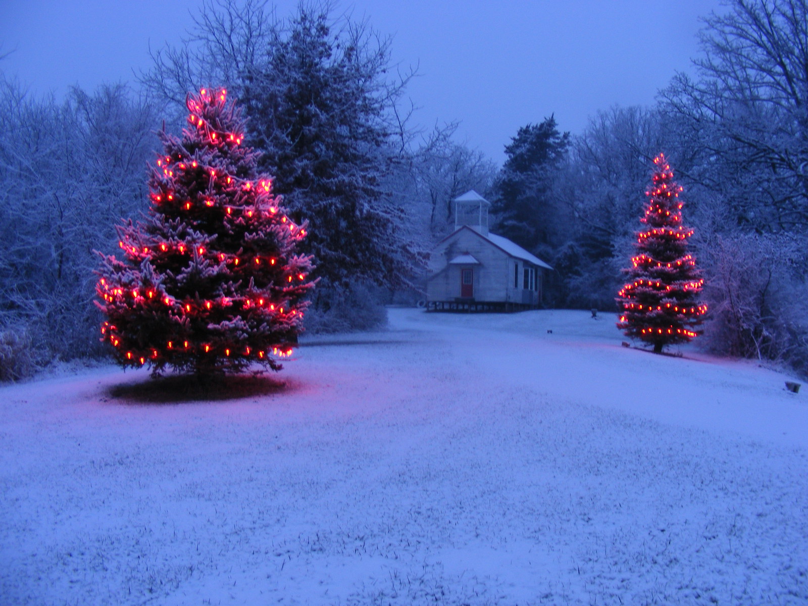 Christmas Trees and Schoolhouse 2008