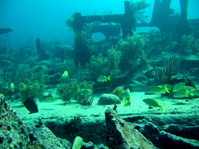 City of Washington Wreckage