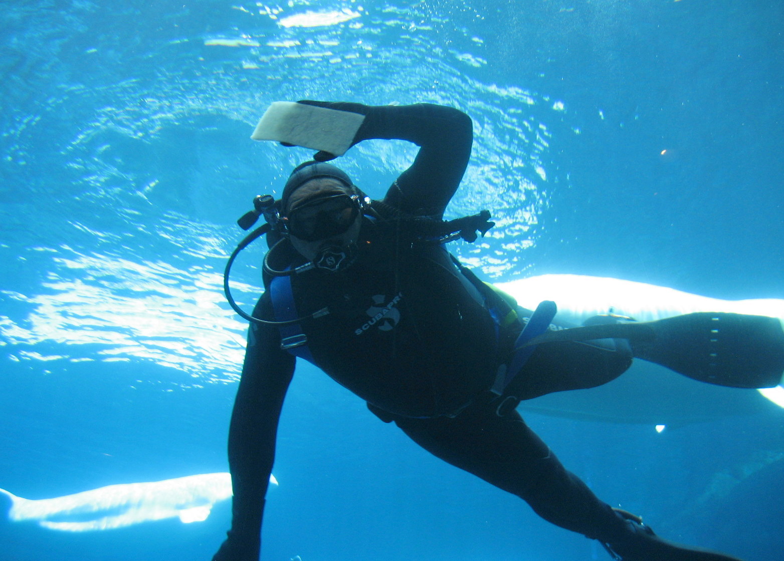 Cleaning the main window at Cold Water Quest