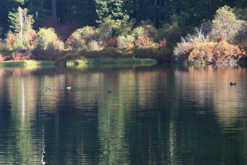 Clear lake/ Oregon