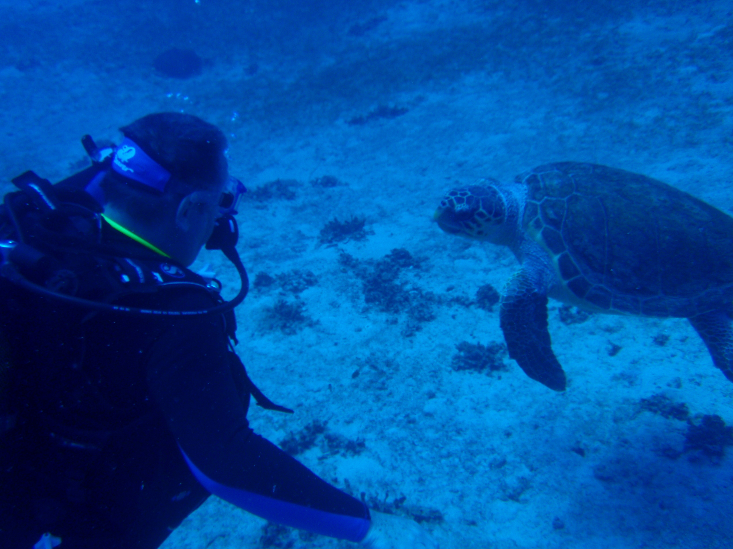 Close encounter in Turkey