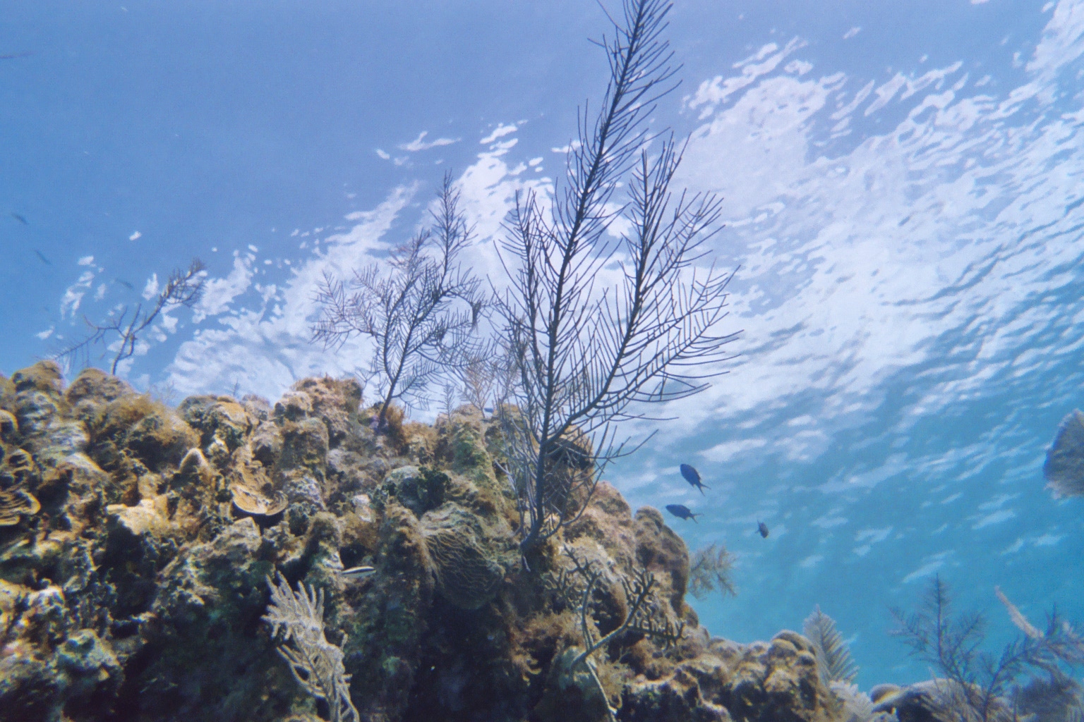 Clouds in the Sea